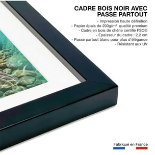 Affiche enfant jeune paresseux avec bouée  Affiche sous cadre noir