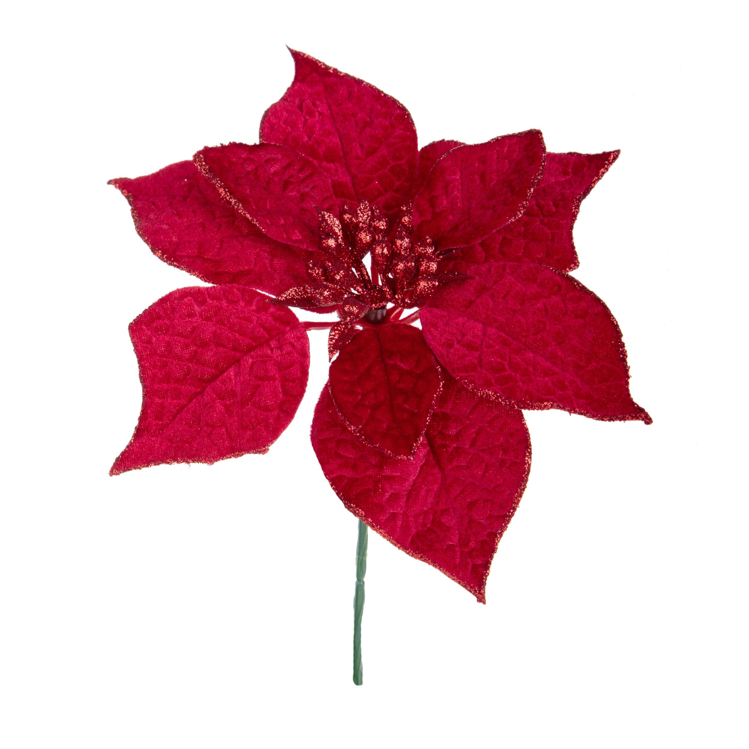 Pick stella - Pezzi 24 - 20xH21x20cm - Bianchi Dino SpA