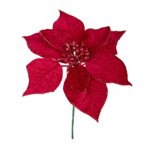 Pick stella - Pezzi 24 - 20xH21x20cm - Bianchi Dino SpA