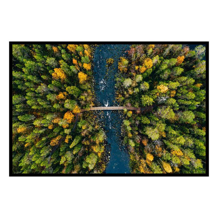 Affiche encadrée forêt d’automne vue du ciel Affiche + cadre en métal - Noir