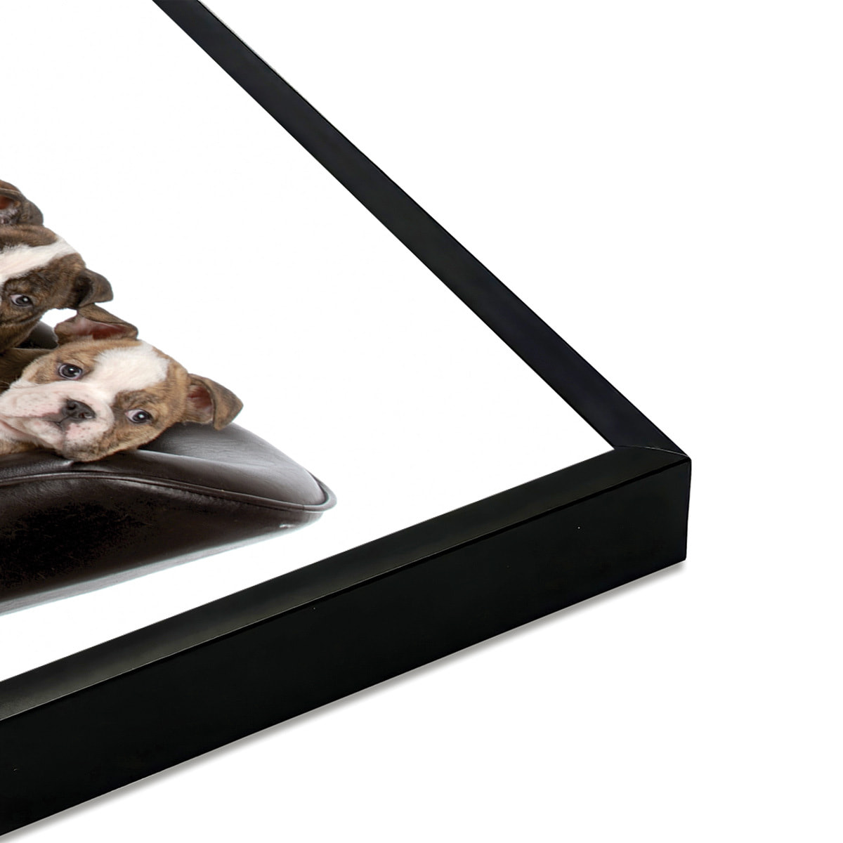 Affiche encadrée bulldogs Affiche + cadre en métal - Noir