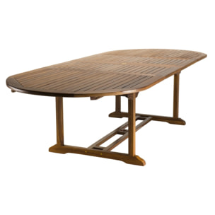 MAEVA - Table de jardin 10/12 personnes - ovale double extension 200/300 x 120 cm en bois teck huilé