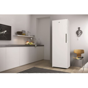 Congélateur armoire INDESIT UI6F2TWFR