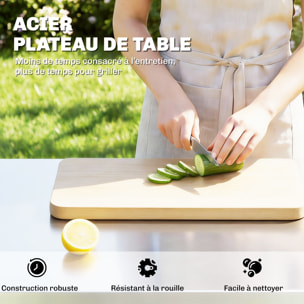 Desserte de jardin une porte 2 tablettes rabattables plateau acier inox