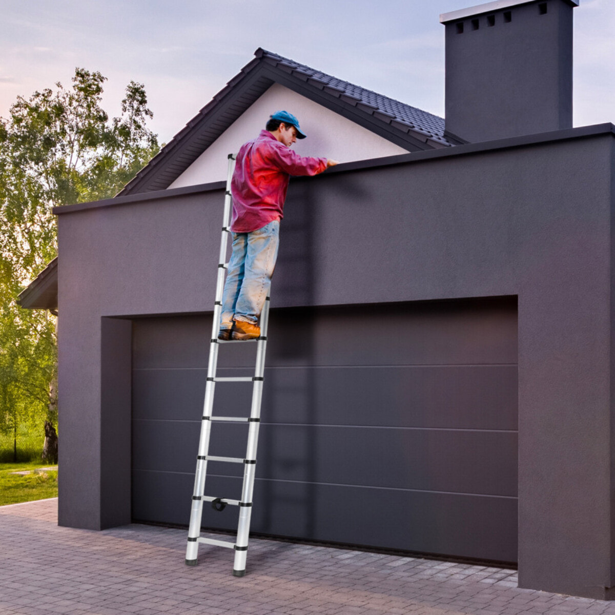 Echelle télescopique en aluminium 320cm - Argenté / Noir