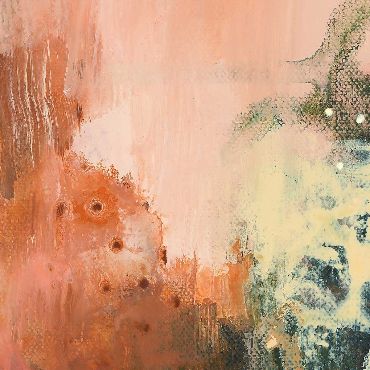 Affiche Tips brush Affiche + cadre en bois - Chêne