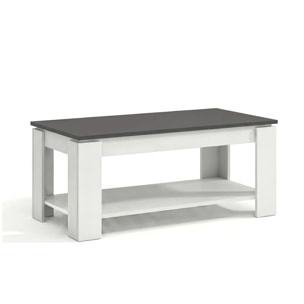 Mesa de centro elevable con almacenaje en blanco mate y gris grafito 102x43-54 cm Lya Blanco Artik (Blanco Mate) - Gris Grafito