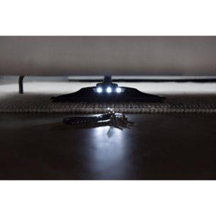Brosse ELECTROLUX ZE165 LED extra plate sols durs tous modèles