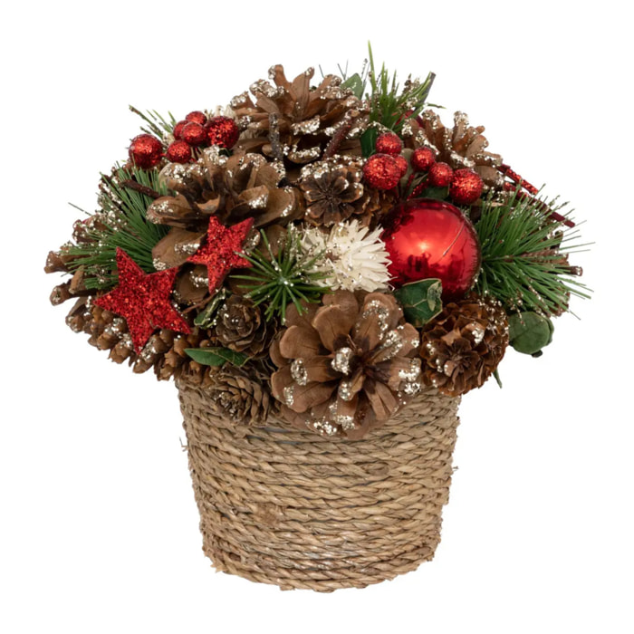 Composition en pot houx étoile rouge H19cm