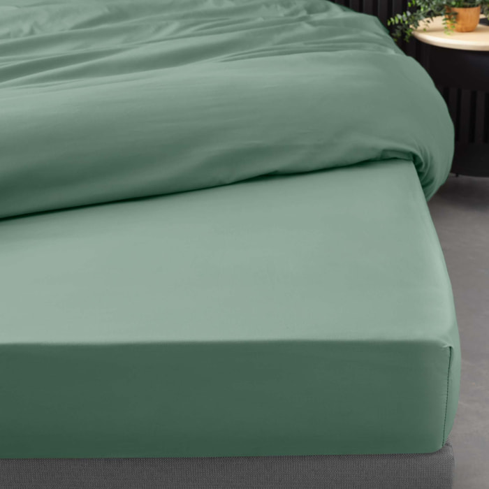 Drap Housse Uni 100% Percale de Coton ORIGINE - Vert tilleul