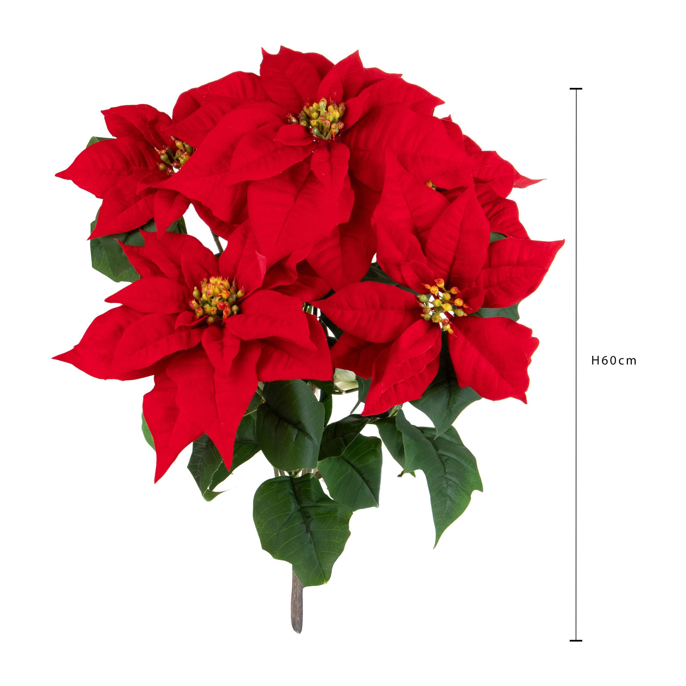 Stella natale cespuglio - Pezzi 2 - ROSSO - Bianchi Dino SpA