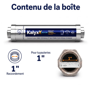 Alternative adoucisseur d'eau KalyxX Blue Line 1" (IPSKXFRBG1)