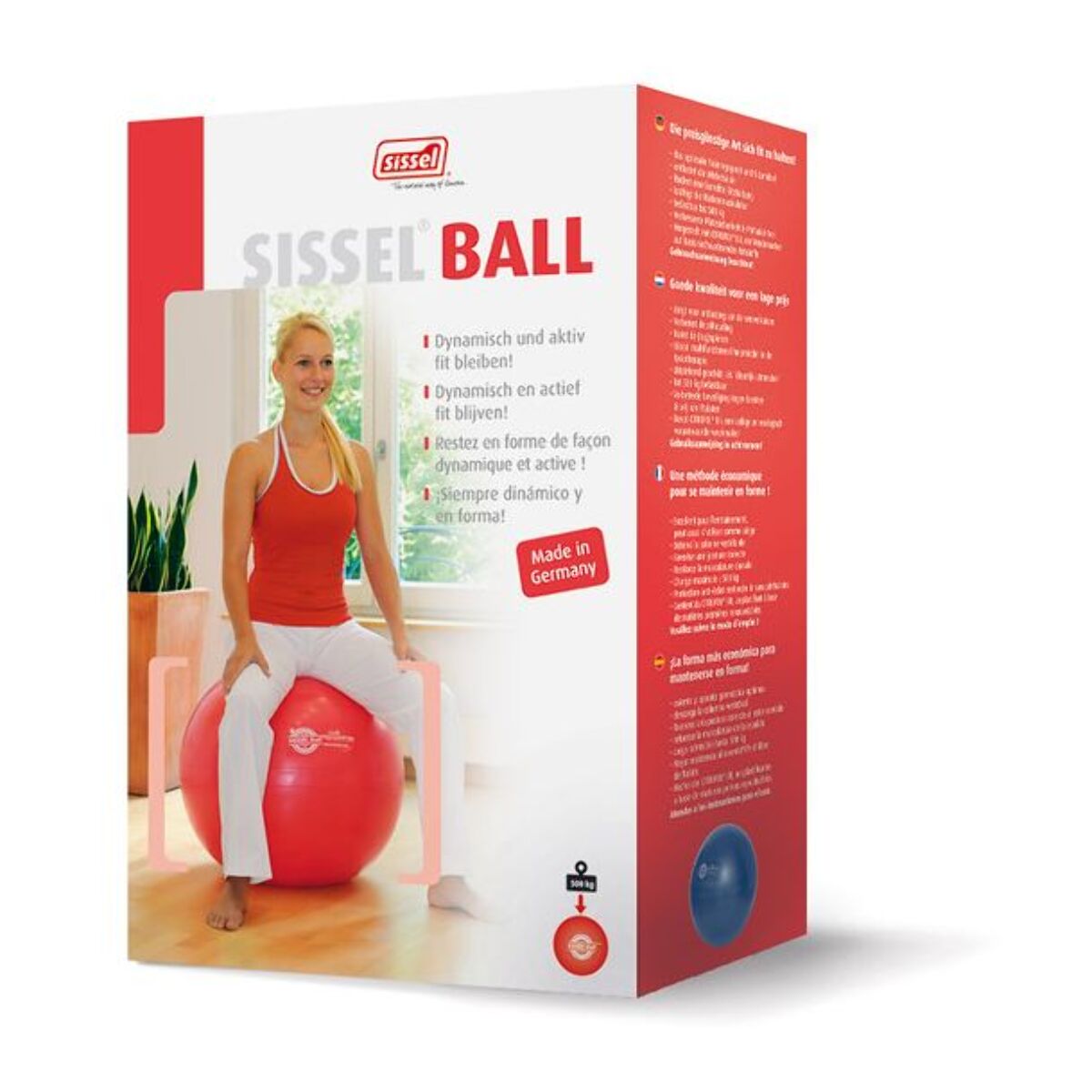 Ballon de yoga SISSEL Ball 65cm