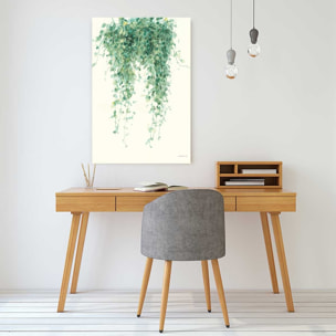 Tableau fleurs Plante tropicale Ceropegia illustrée Tableau alu Dibond