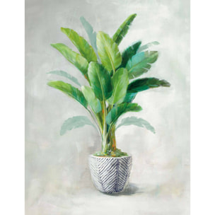 Papier peint exotique plante tropicale alpinia en aquarelle Intissé