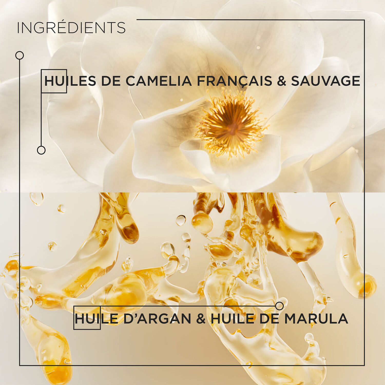 L'Huile Originale  - Recharge Huile nourrissante pour tous types de cheveux