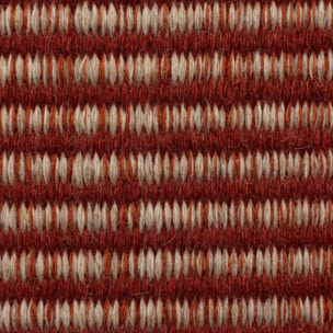 Tapis de couloir ANI