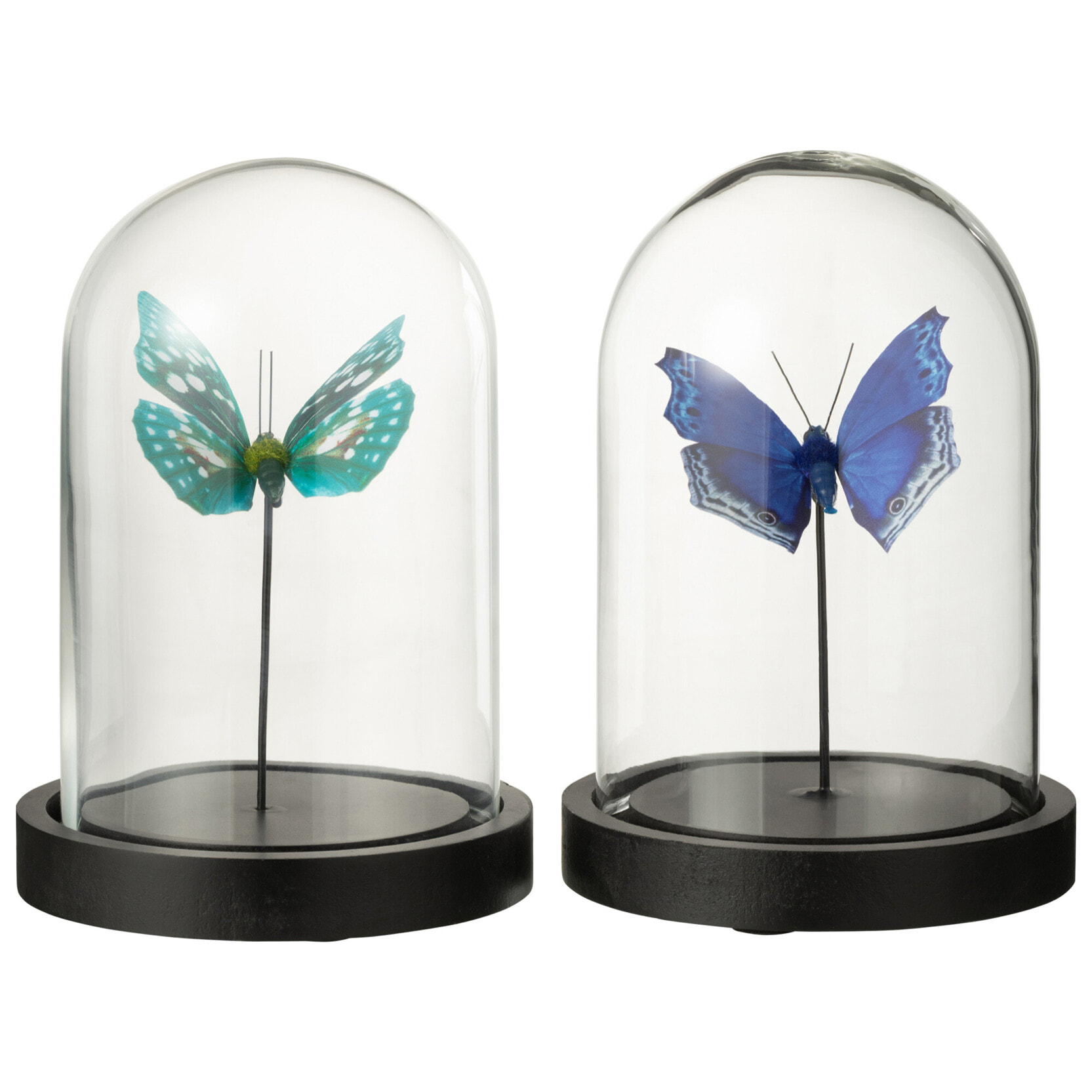 J-Line Cloche décorative Papillons - verre/papier - blauw - small - 2 pièces