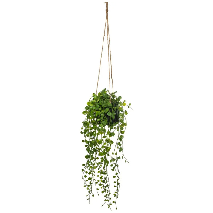 Plante artificielle à suspendre "Living" pot ciment D10cm