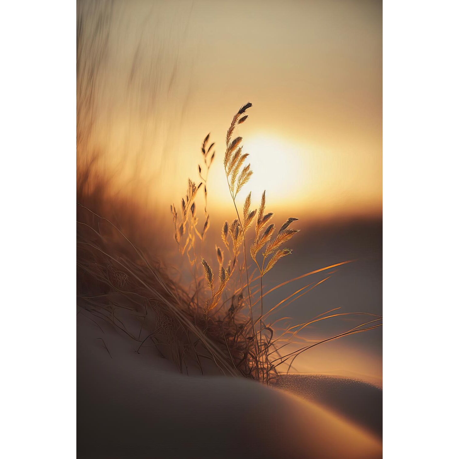 Tableau mer et plage soleil du soir à la plage  Tableau plexiglas