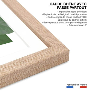 Affiche Feuilles de Monstera Affiche + cadre en bois - Chêne