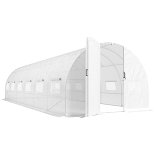 Serre tunnel de jardin 24 m² porte 12 fenêtres acier PE blanc
