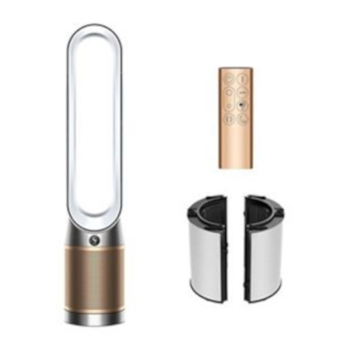 Purificateur ventilateur Dyson Cool PC2 De-NOx TP12