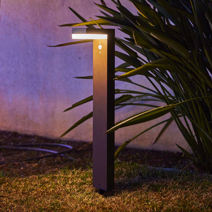 Potelet solaire CENOVA TALL H50CM 600LM