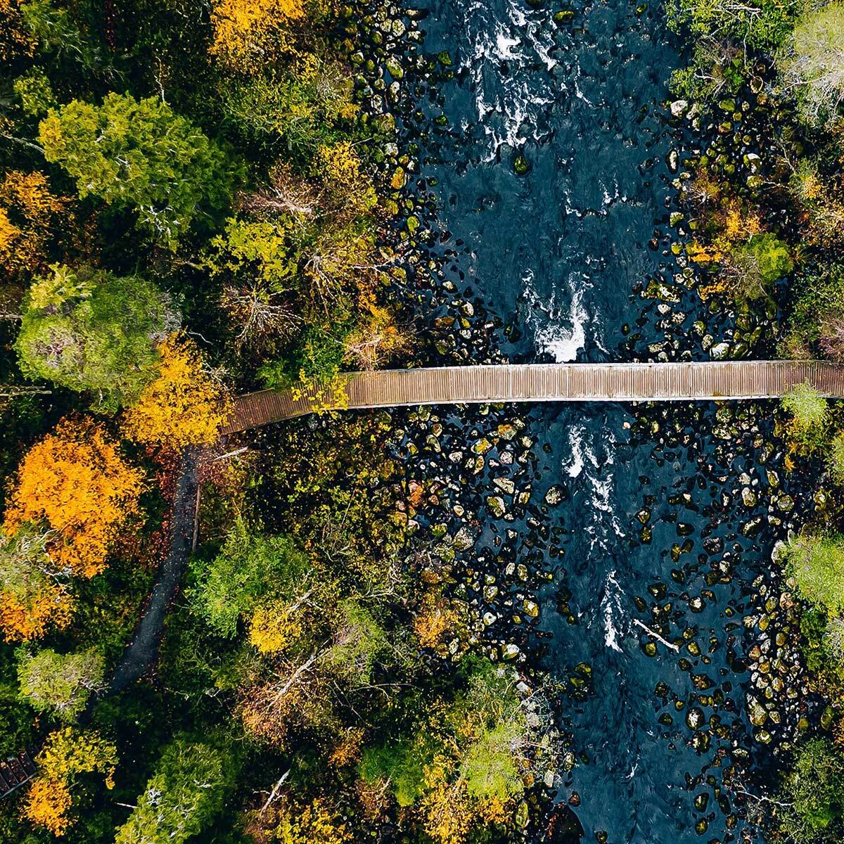 Affiche encadrée forêt d’automne vue du ciel Affiche + cadre en métal - Noir