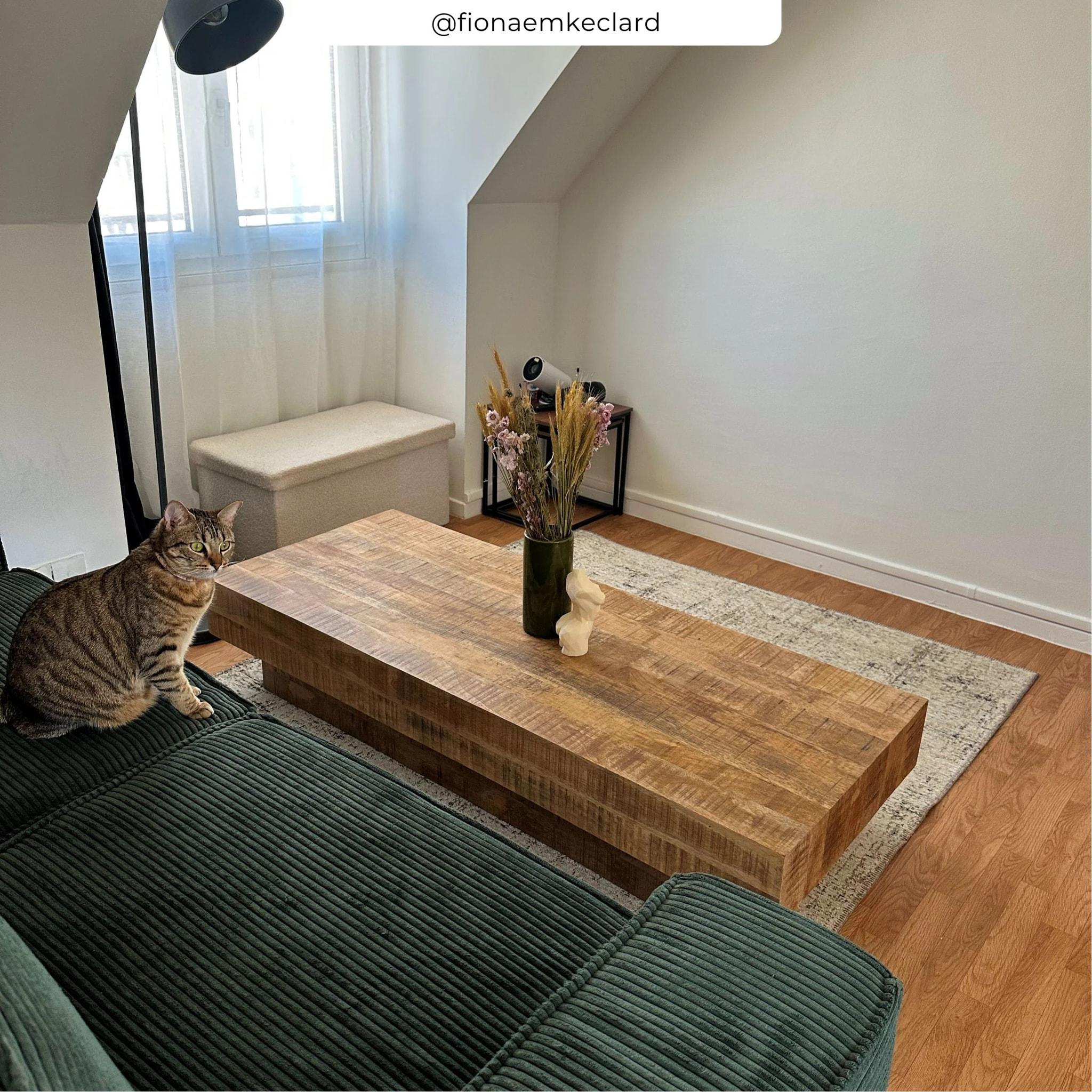 Table basse rectangulaire en bois de manguier - Aréto