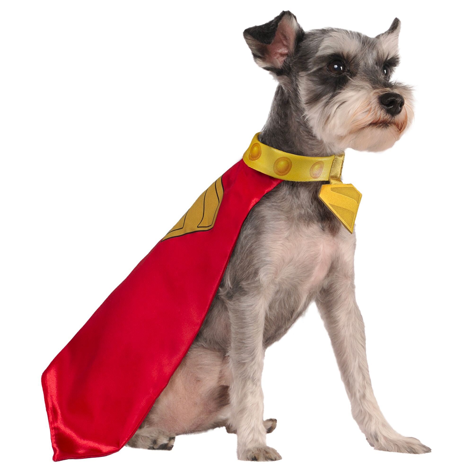 KRYPTO PET COSTUME