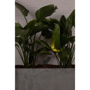 SPY 145 Estaca gris oscuro