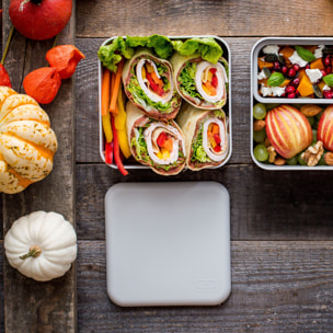Set repas complet lunch box 2 étages 1,7L gris/vert + accessoires