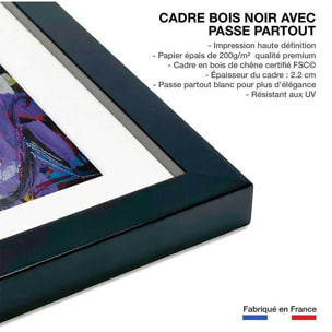 Affiche abstraite odalisque Affiche + cadre en bois - Noir