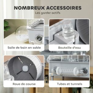 Cage pour hamster 2 niveaux roue sphère bac à sable tuyaux biberon eau dim. 44,5 x 28 x 44 cm blanc gris