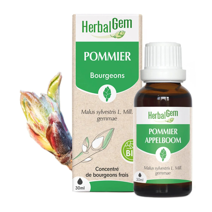 Herbalgem- Bourgeon de pommier - Bio - 30 ml