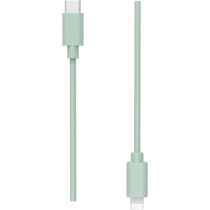 Câble Lightning ESSENTIELB USB-C vers lightning 1M Amande