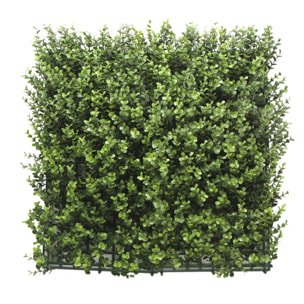 JARDÍN VERTICAL BUXUS PACK 4 PIEZAS 50X50CM