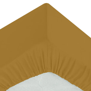 Drap-housse percale modoré 90x190cm