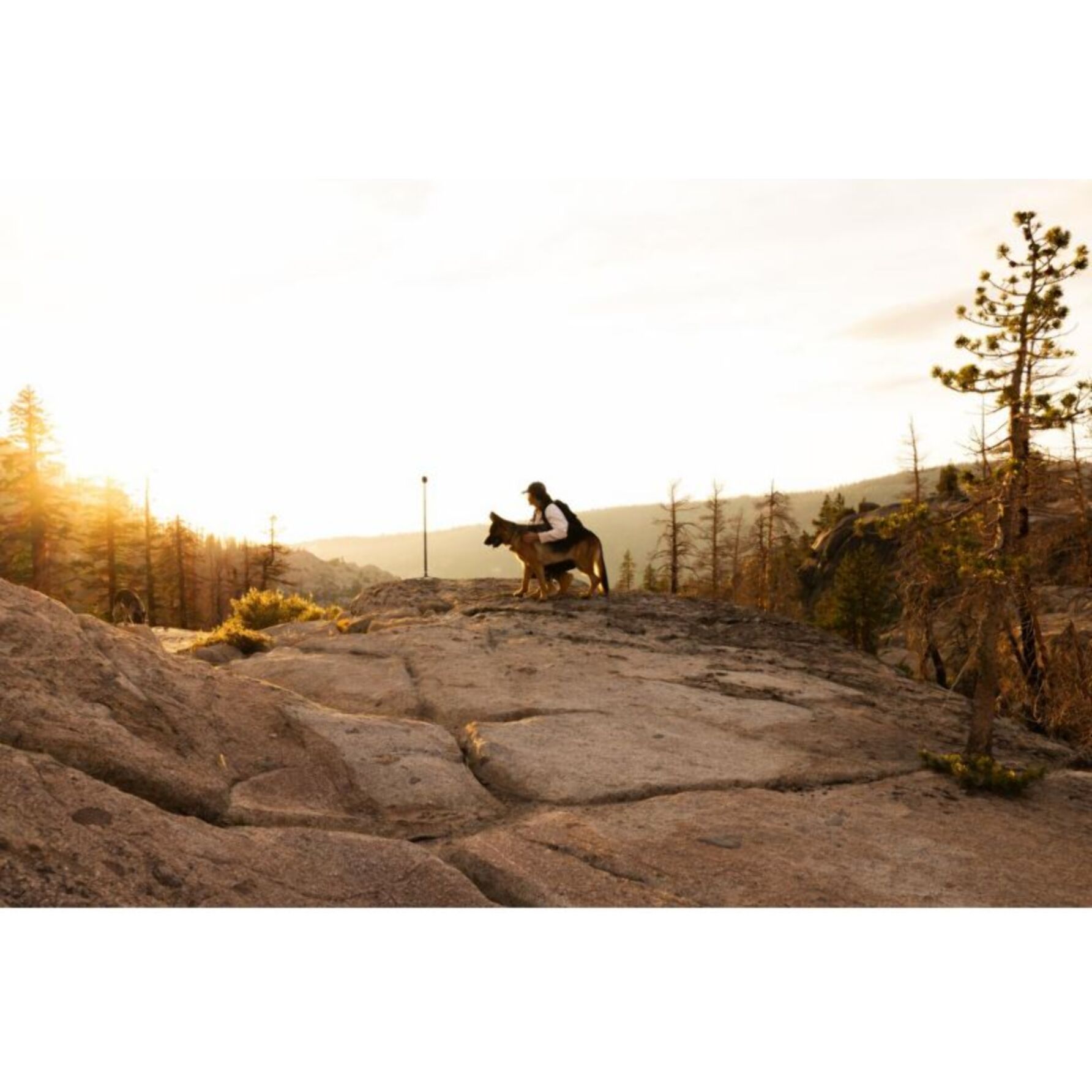 Trépied GOPRO Tripod + Ball Head