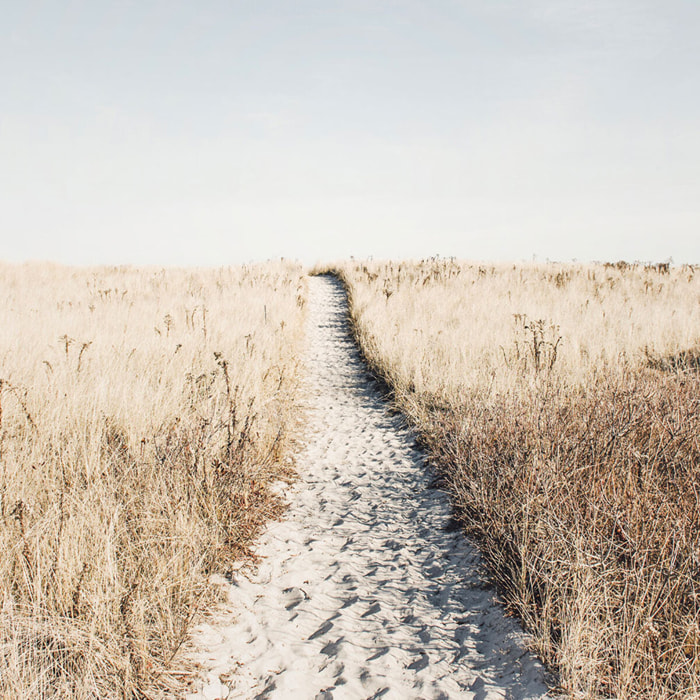 Tableau mer chemin dans la dune  Tableau alu Dibond
