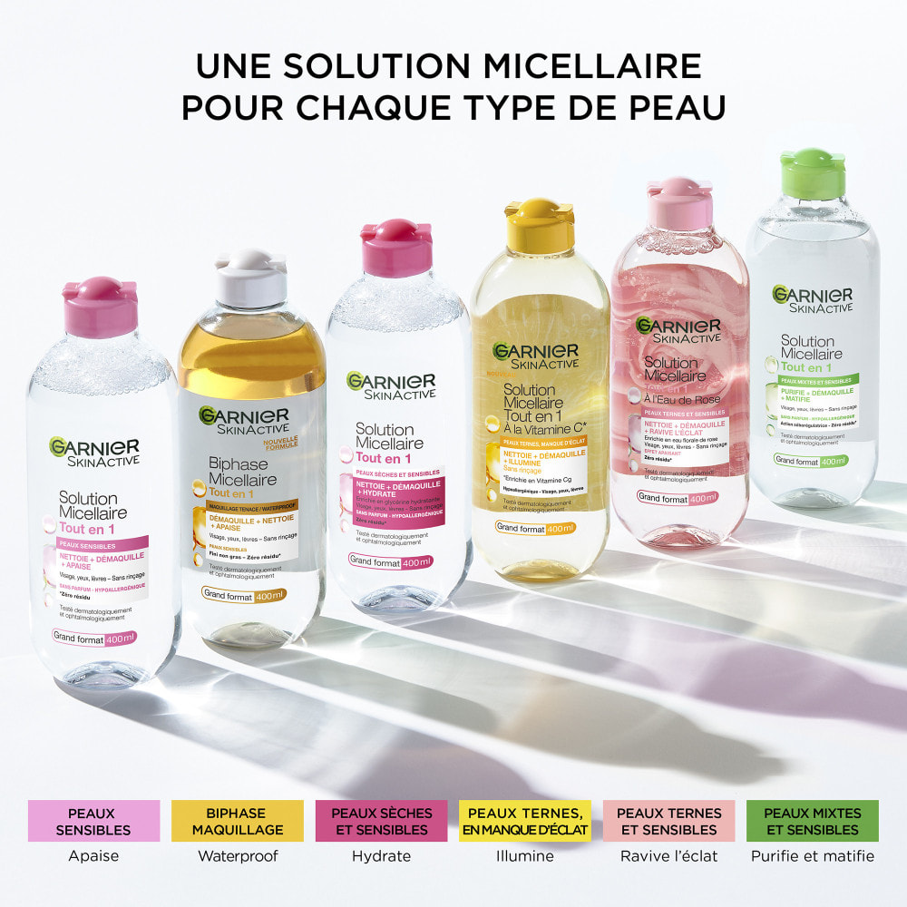 Lot de 6 - Garnier SkinActive Micellaire Biphase Tout en 1 Waterproof 400mL
