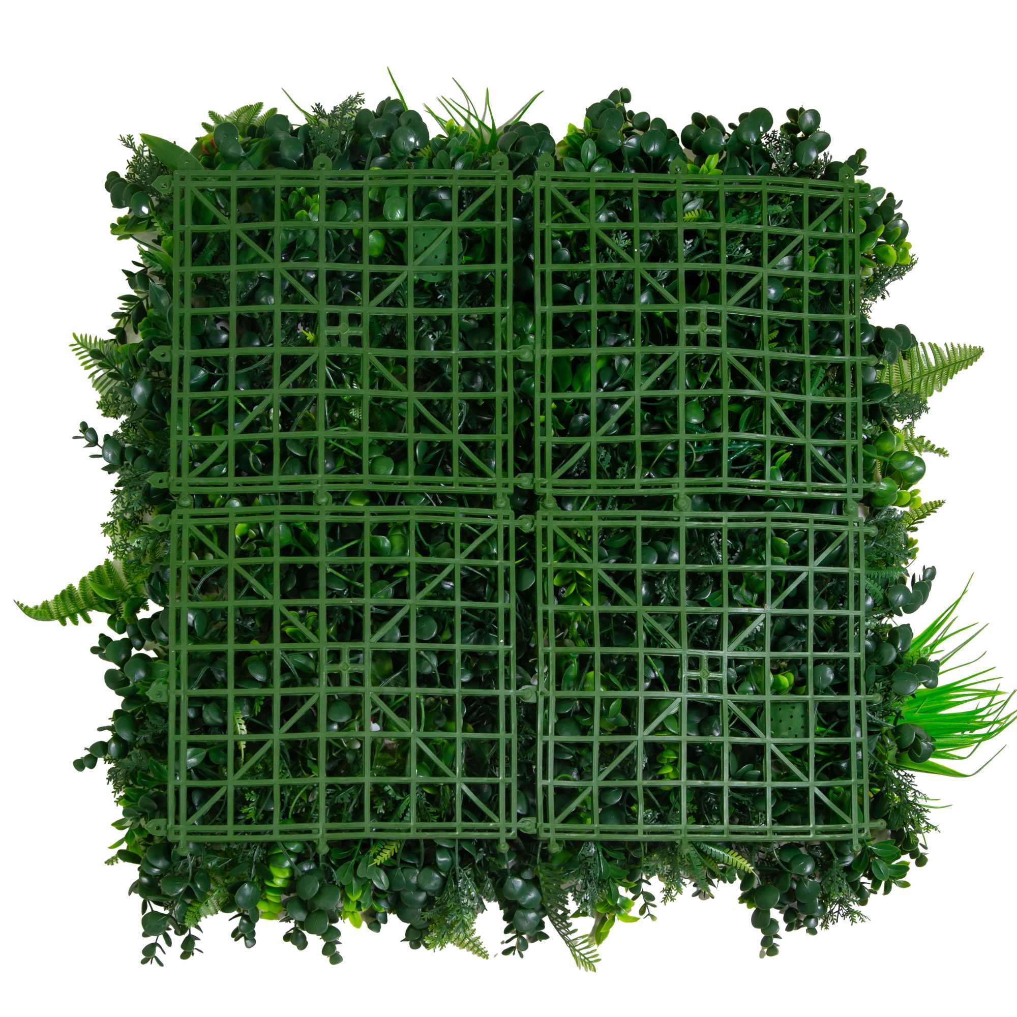 Parete verde verticale Vacchetti giungla con fiori buganville cm50x50