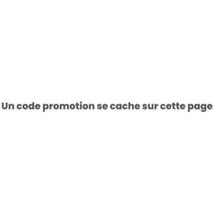 Réfrigérateur Américain BEKO GN163240XBN