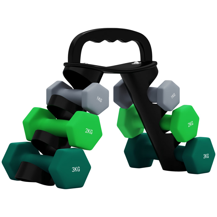 Juego de Mancuernas de 6 Piezas 2 x1kg 2 x2kg 2 x3kg Mancuernas Hexagonales con Soporte de Almacenamiento y Mango Antideslizante para Musculación Entrenamiento en Casa Gimnasio Multicolor