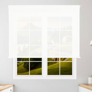 Well home estor enrollable translúcido liso - blanco, 160 x 250cm (ancho x largo)/tamaño de la tela 157 x 245cm