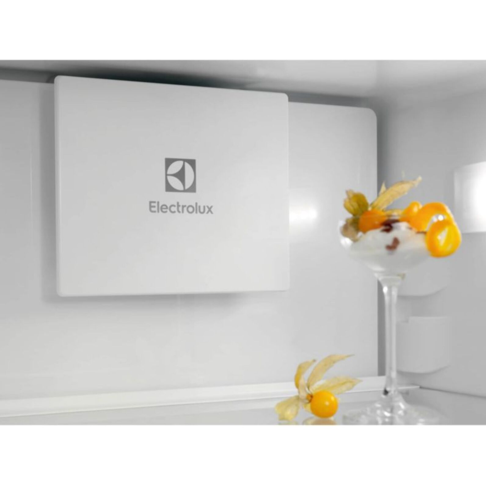 Réfrigérateur combiné encastrable ELECTROLUX ENP7MD19S GreenZone