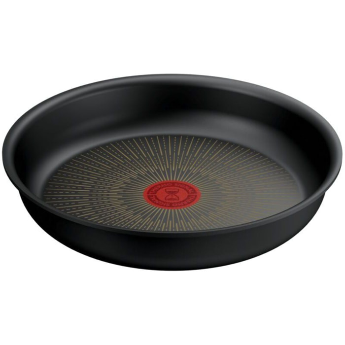 Poêle TEFAL Ingenio Eco Resist 24 cm L3970402