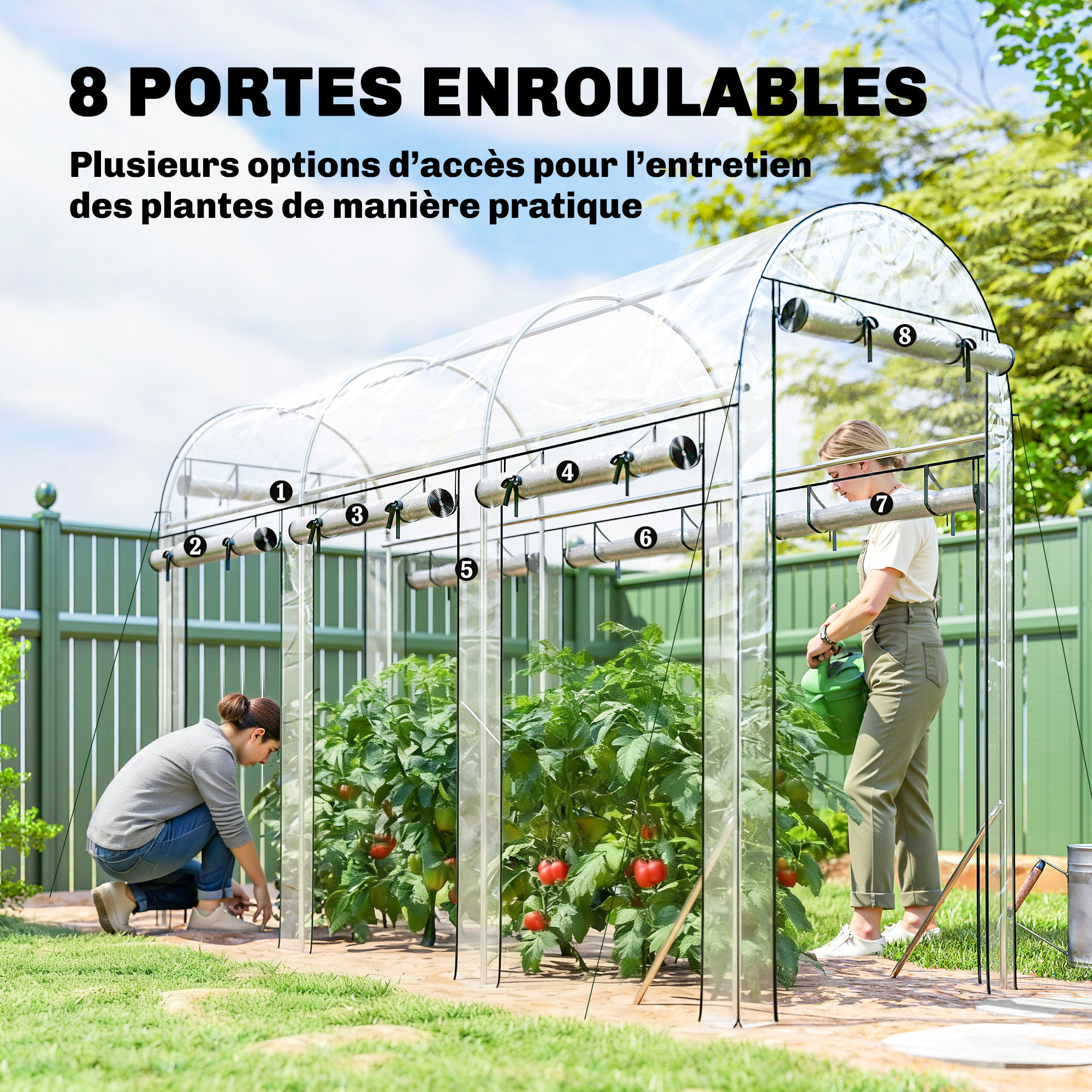 Serre à tomates - serre tunnel - 8 portes déroulantes - transparent