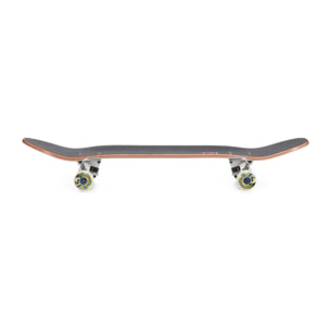 Skate completo Hydroponic POOL CO CELL